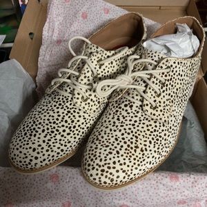 Rollie Shoes